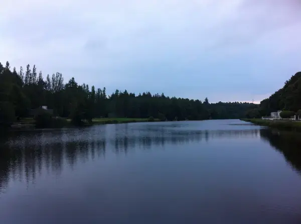 Monte Escalier Mobilité Installateur monte escalier Inzinzac-Lochrist