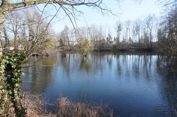 Monte Escalier Mobilité Installateur monte escalier La Chapelle-Saint-Luc