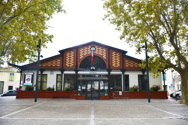 Monte Escalier Mobilité Installateur monte escalier Lansargues