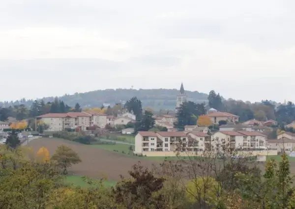 Monte Escalier Mobilité Installateur monte escalier Lentilly