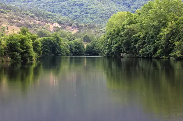 Monte Escalier Mobilité Installateur monte escalier Les Adrets-de-l'Estérel
