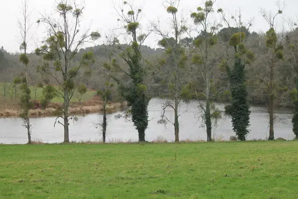 Monte Escalier Mobilité Installateur monte escalier Muzillac
