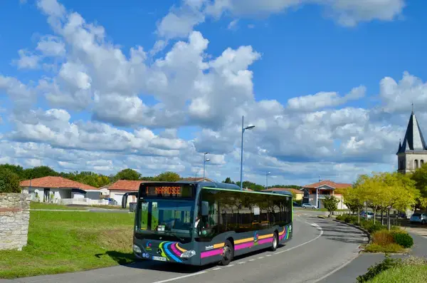 Monte Escalier Mobilité Installateur monte escalier Narrosse