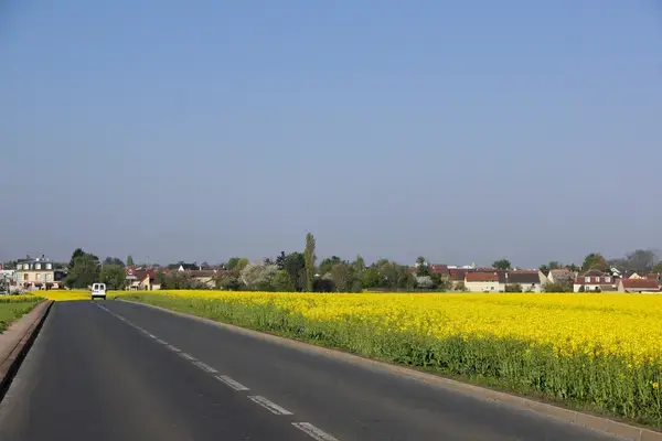 Monte Escalier Mobilité Installateur monte escalier Noiseau