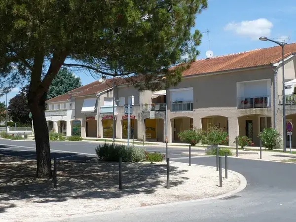 Monte Escalier Mobilité Installateur monte escalier Pineuilh