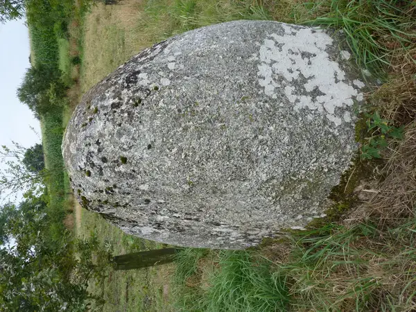 Monte Escalier Mobilité Installateur monte escalier Plaintel