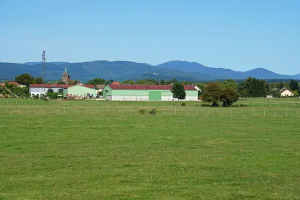Monte Escalier Mobilité Installateur monte escalier Roye