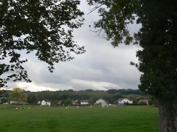 Monte Escalier Mobilité Installateur monte escalier Saint-André-le-Gaz