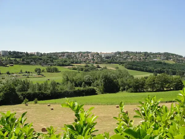 Monte Escalier Mobilité Installateur monte escalier Saint-Genest-Lerpt