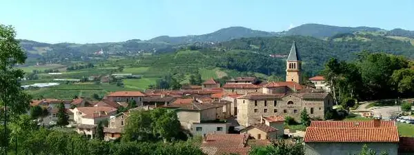 Monte Escalier Mobilité Installateur monte escalier Thurins