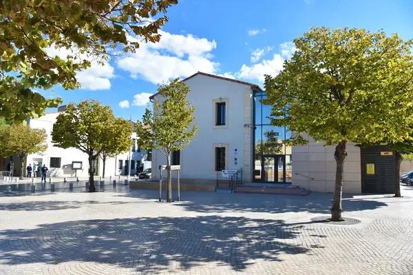 Monte Escalier Mobilité Installateur monte escalier Vic-la-Gardiole